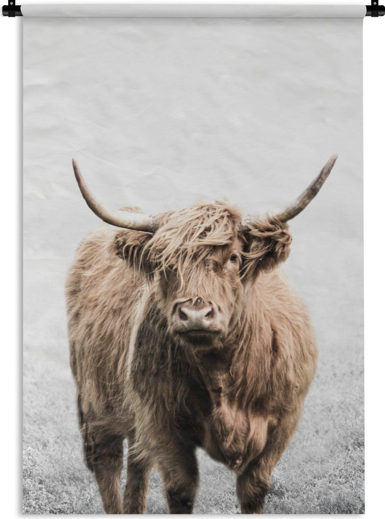 MuchoWow Wandteppich Wandbehang Scottish Highlander - Gras - Weiß 60x90 cm Tapisserie Dekoration Wandtuch - Foto-Teppich - Abwaschbar
