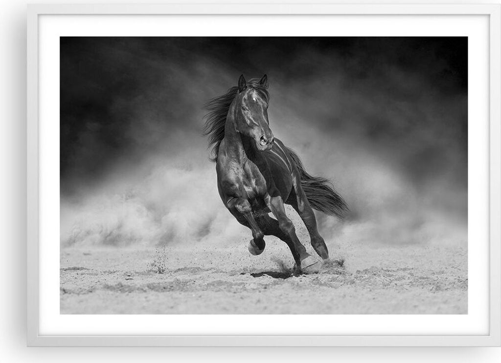 Gerahmtes Poster - Weißer Rahmen - Pferd Galopp dynamisch - 70x50 cm - Wand Bild - Wanddeko - Wandbilder - Kunstposter - Wandposter - Bilderrahmen...