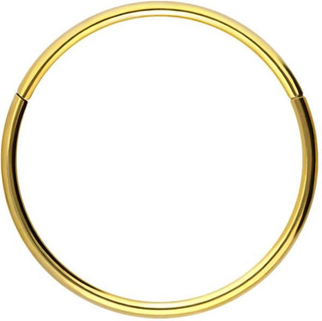 Ohrpiercing, Nasenpiercing, Septum Piercing Titan Segmentring Clicker Gold Innendurchmesser: 10mm + Stabstärke: 1mm