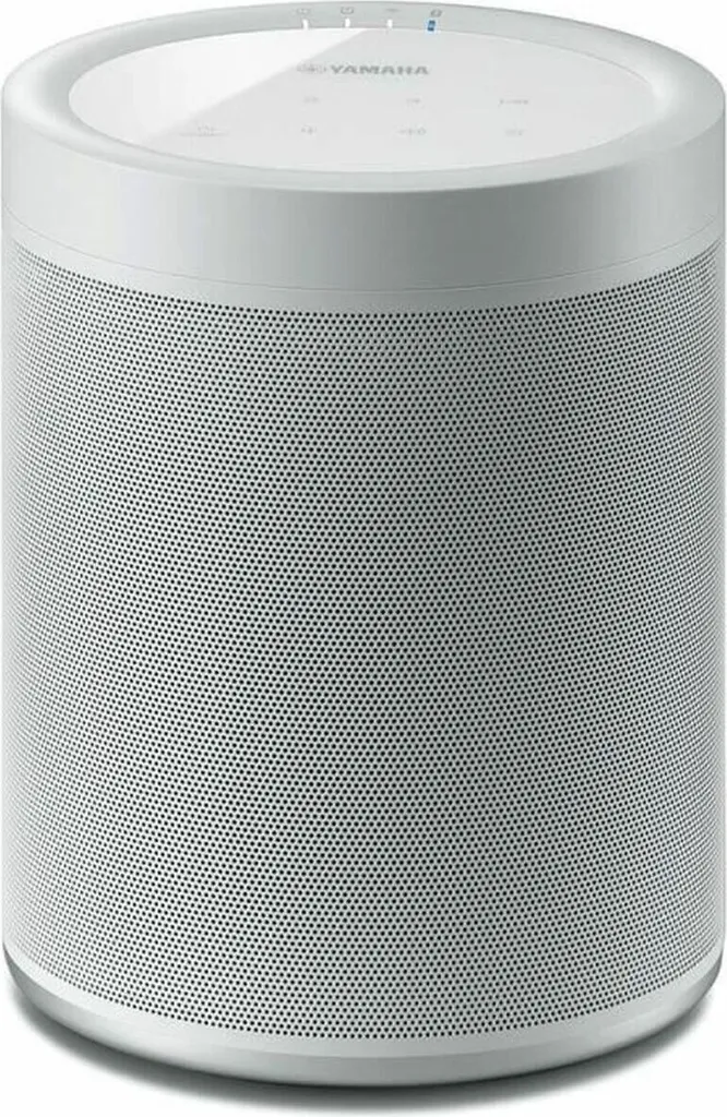 Yamaha MusicCast 20 WX-021 Haut-parleur Wi-Fi Bluetooth Son Surround