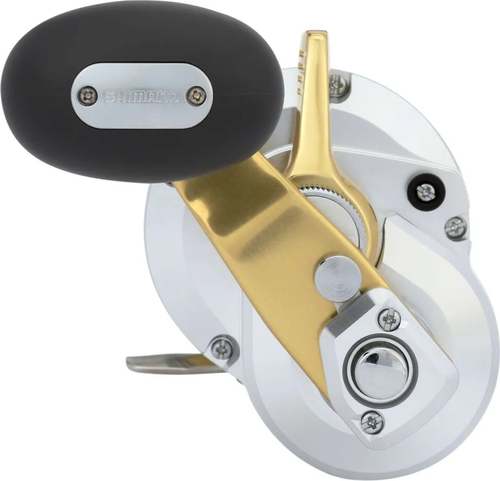 Shimano Talica 10 II Vitesse Idéal pour la Pêche Sportive du Thon 10LB - 4