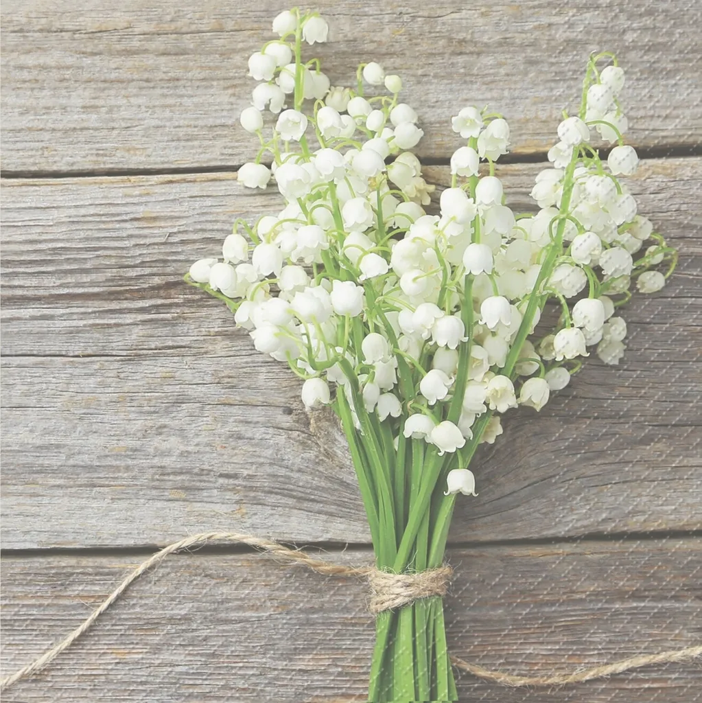 Serviettes 33x33 cm Stewo Mady blanches pour mariages et réceptions