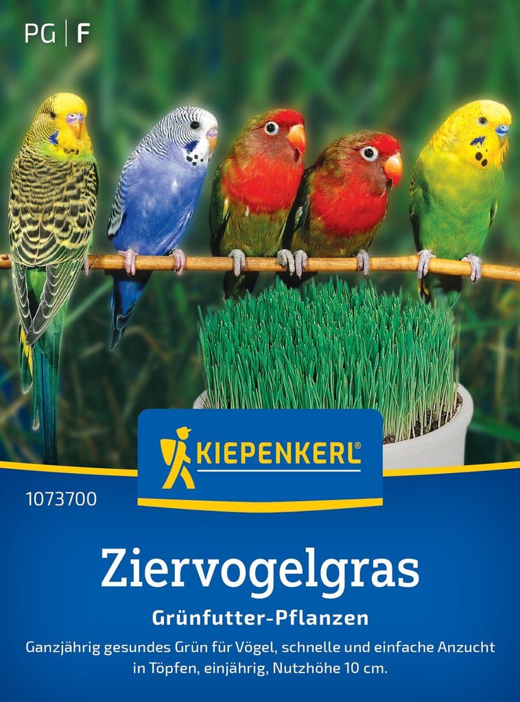 Kiepenkerl Rasensamen Ziervogelgras Frischgrün Mischung für Produktbild 