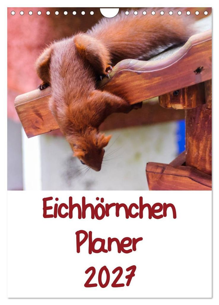 Eichhörnchen Planer 2027 (Wandkalender 2027 DIN A4 hoch), CALVENDO Monatskalender
