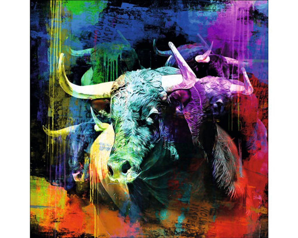 Glasbild Colorful Bull Head 50x50 cm