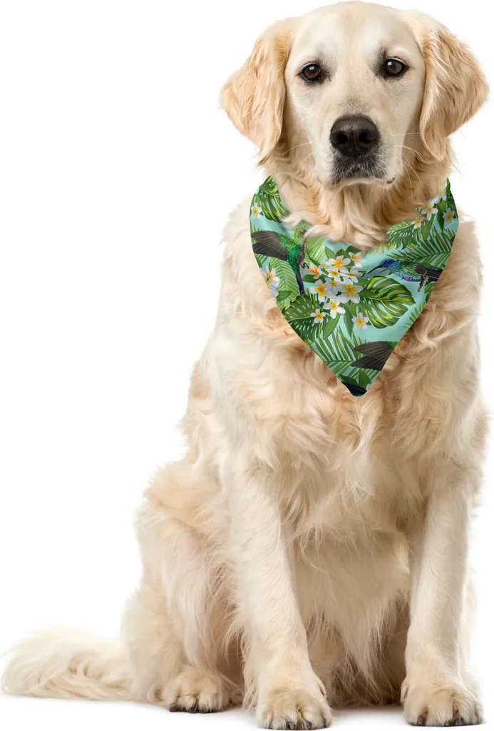 ABAKUHAUS Bandana tropicale per animali domestici, stile foresta pluviale brasiliana, 40x40 cm, multicolore