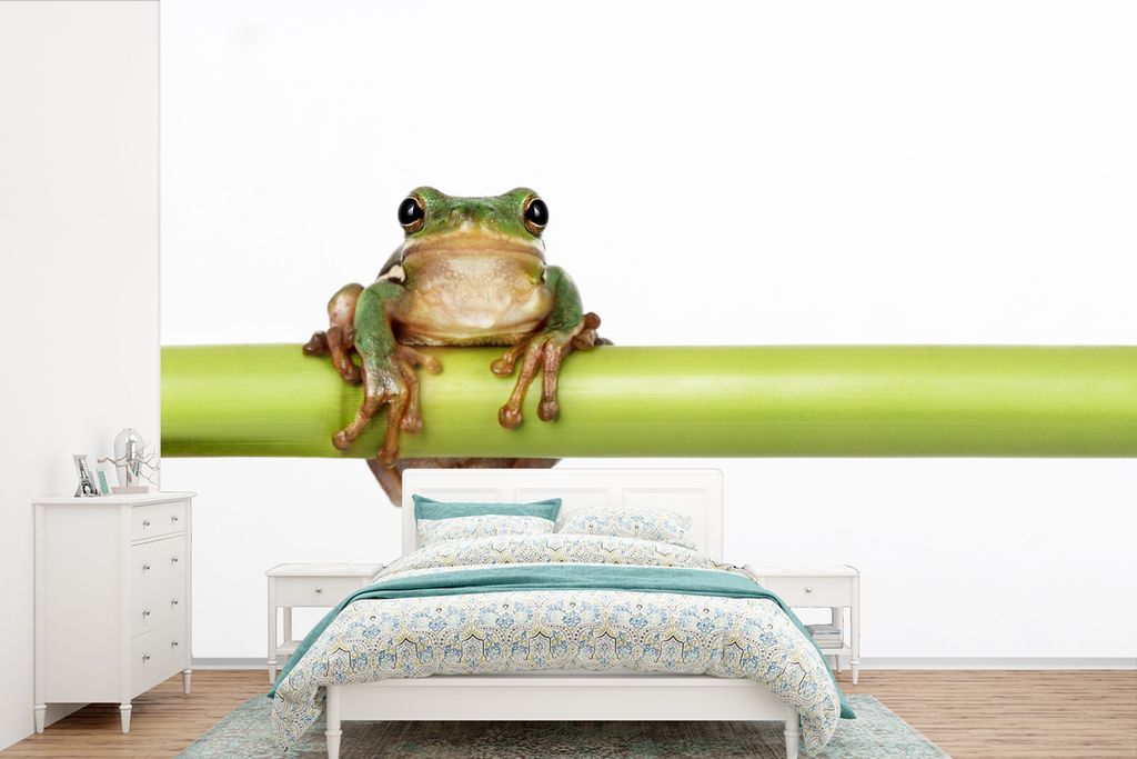 MuchoWow Fototapete für Wohnzimmer oder Schlafzimmer Wandtapete Vinyl Motivtapete Frosch - Bambus - Weiß - 390x260 cm - Papiertapete