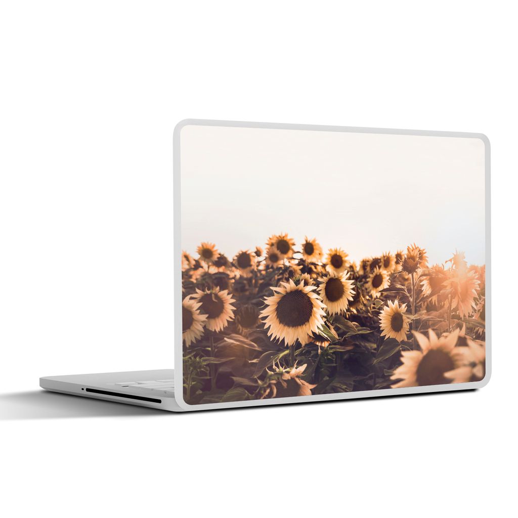 MuchoWow Laptop Aufkleber Sticker Cover Sonnenblumen - Feld - Sonnenuntergang - Blumen - Gelb 31x22.5 cm - Laptop-Deko