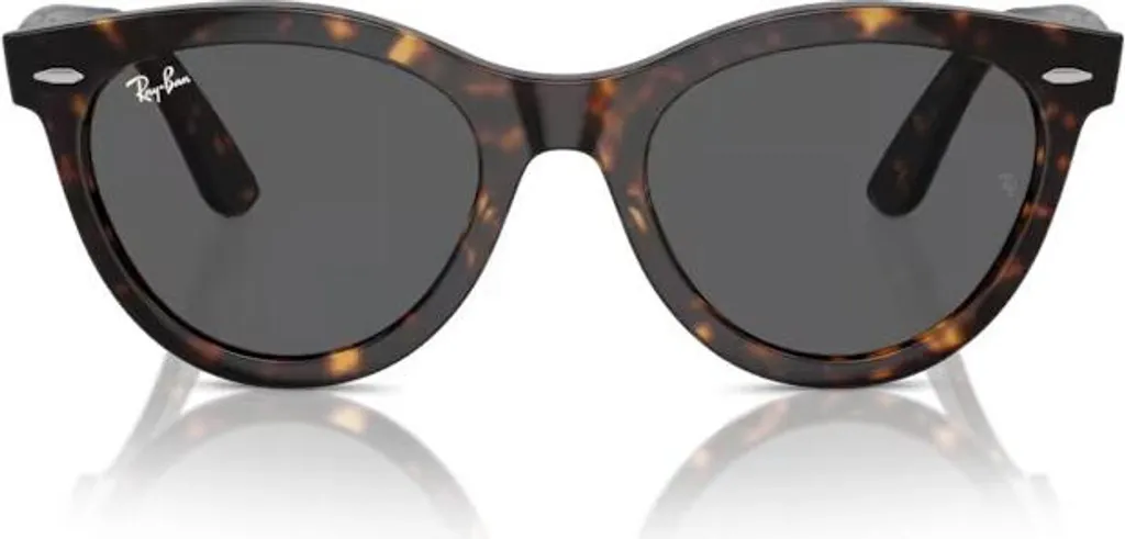 Lunettes Ray-Ban Wayfarer RB 2241 : Fini l'Éblouissement au Soleil Gris