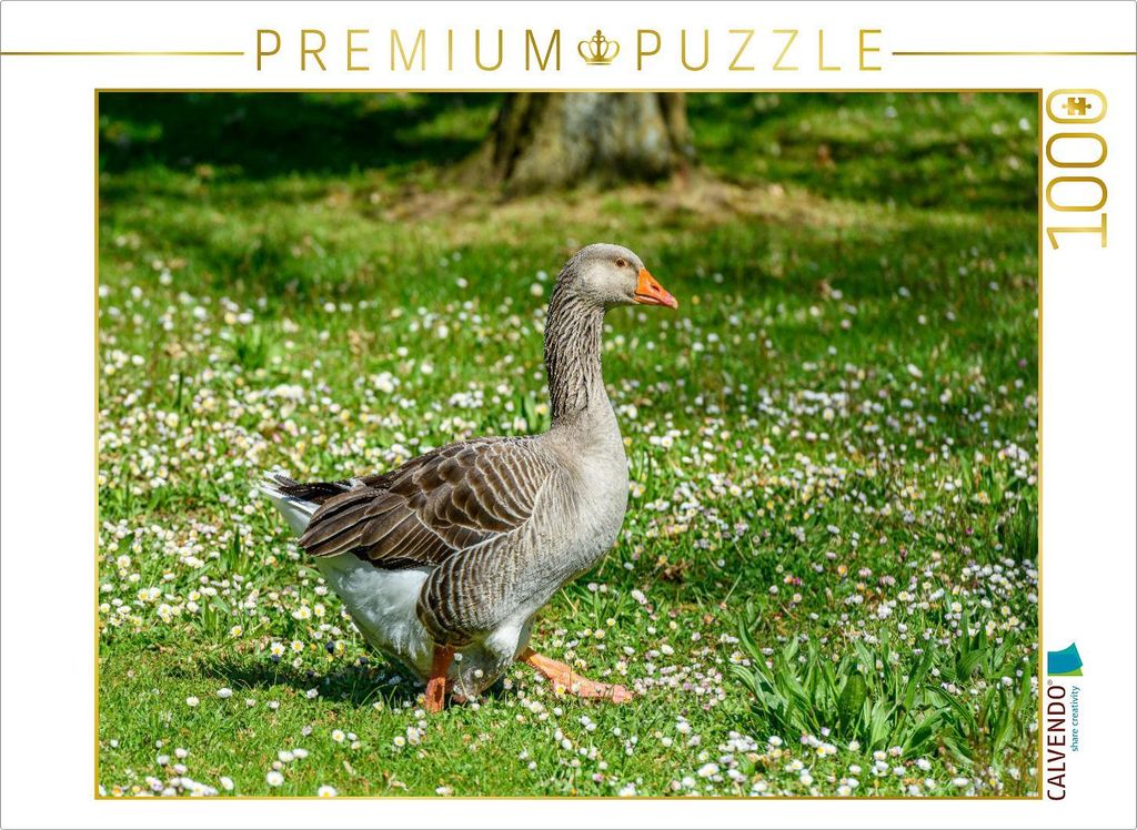 CALVENDO Puzzle Graugans | 1000 Teile Lege-Größe 64x48cm Foto-Puzzle für glückliche Stunden