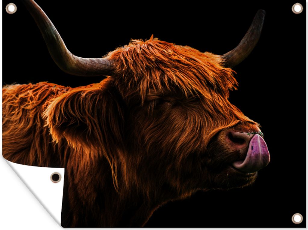 MuchoWow 120x90 cm Outdoor-Poster Gartendeko Sichtschutz Garten Poster für den Garten Schottischer Highlander - Zunge - Nase