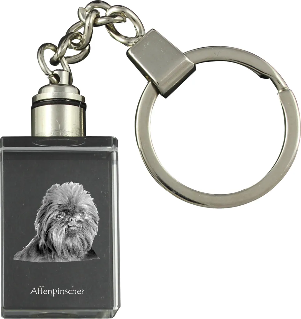 Regalo Unico Amanti Cani - Portachiavi Cristallo Affenpinscher LED