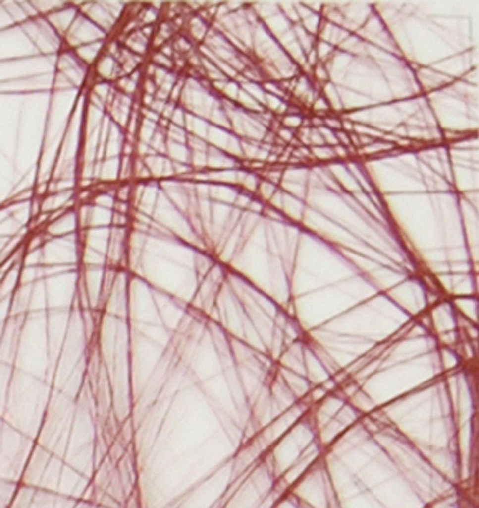 Vaessen Creative | Sizoweb 5mx30cm im Schlauch Bordeauxrot