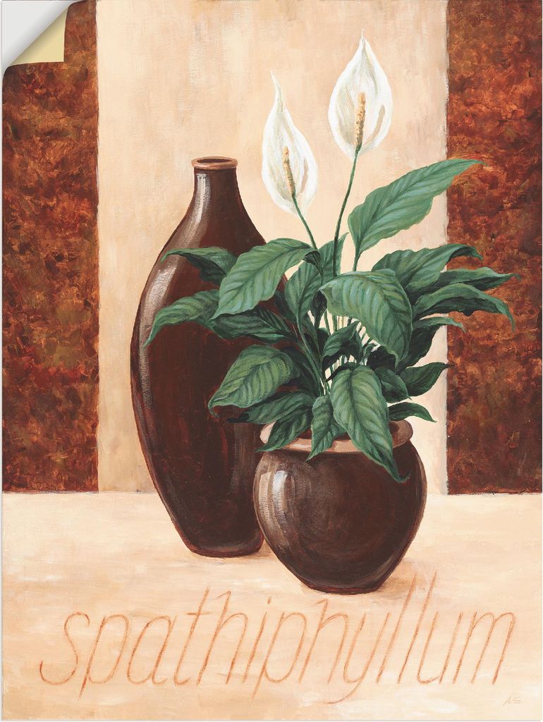 ARTland Wandbild, selbstklebend Spathiphyllum - Einblatt Größe: 60x80 cm