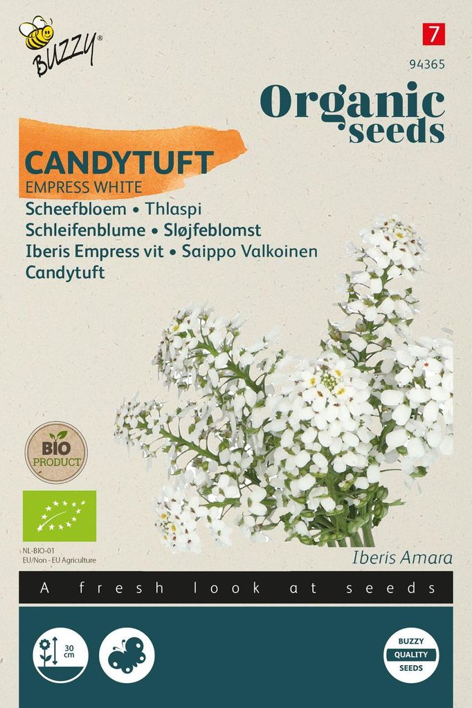Schleifenblume Empress Weiss | Blumensamen von Buzzy Seeds
