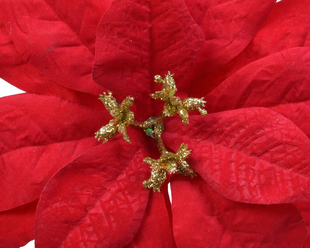 Poinsettia plastic d16h3 cm rood kerst Everlands Productafbeelding 