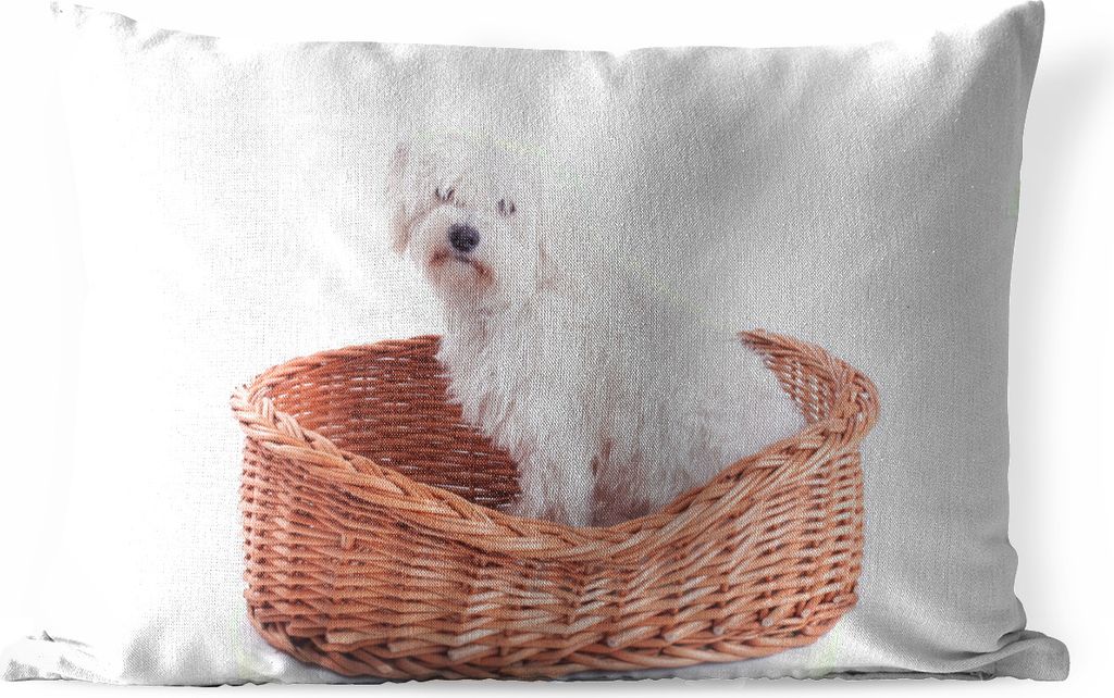 MuchoWow Outdoor Kissen - Malteser Hund im Korb sitzend - 60x40 cm - Wetterfest - Lounge Kissen - Zierkissen - Kissen für Innenräume
