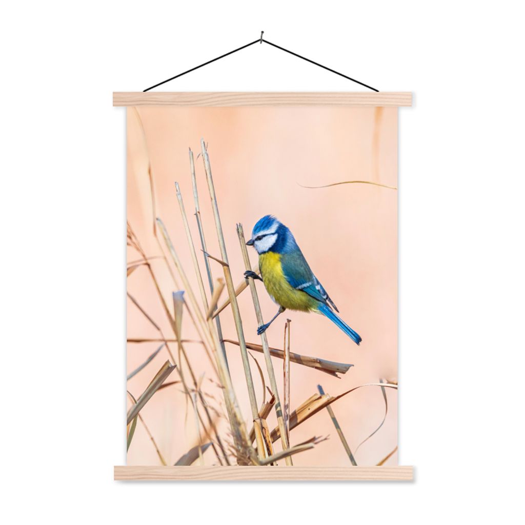 MuchoWow Textilposter Vogel - Blaumeise - Schilf 40x53 cm mit holzfarbenen Rahmen - Schlafzimmer