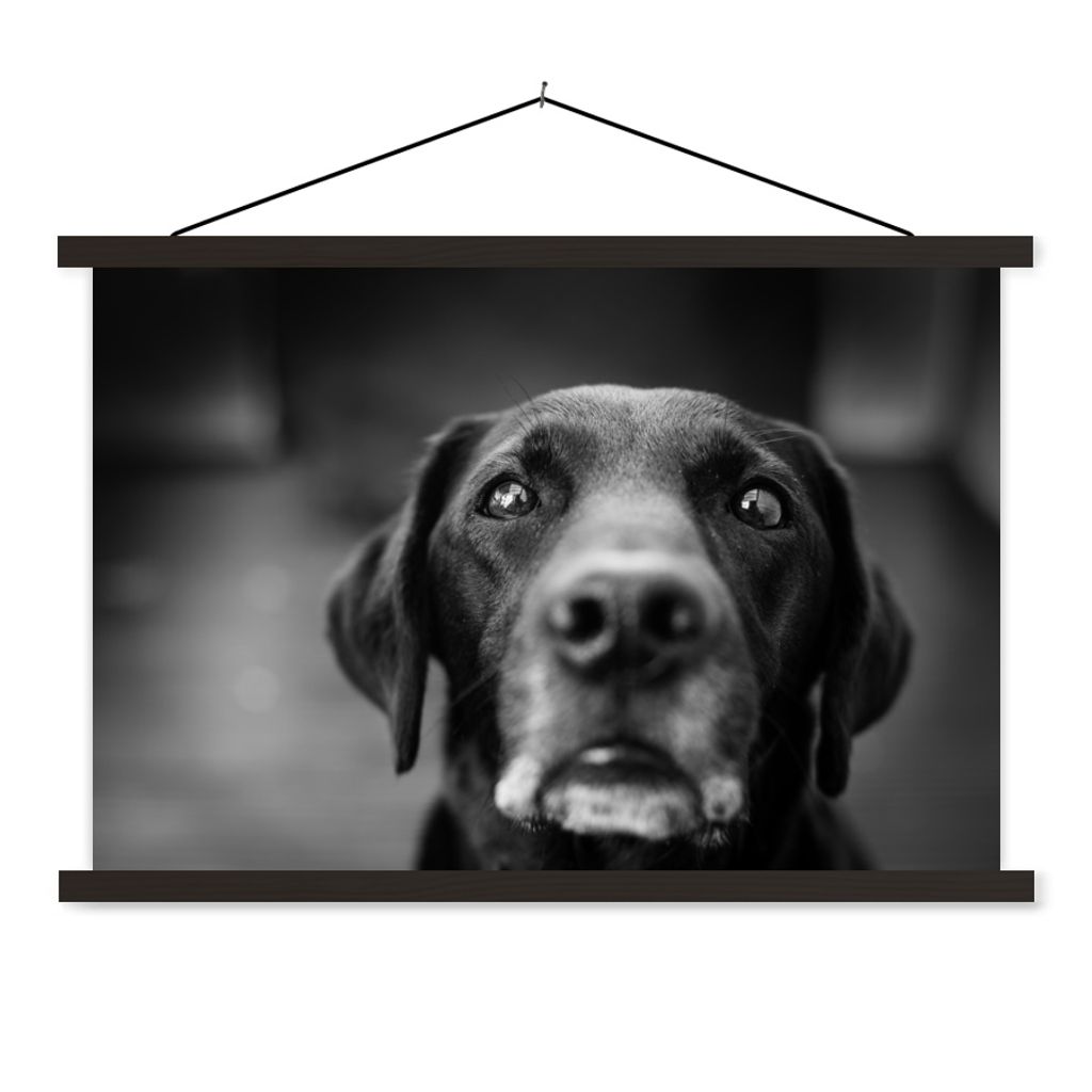 MuchoWow Textilposter Tierprofil Labrador Hund in schwarz und weiß 150x100 cm mit schwarzem Rahmen - Schlafzimmer