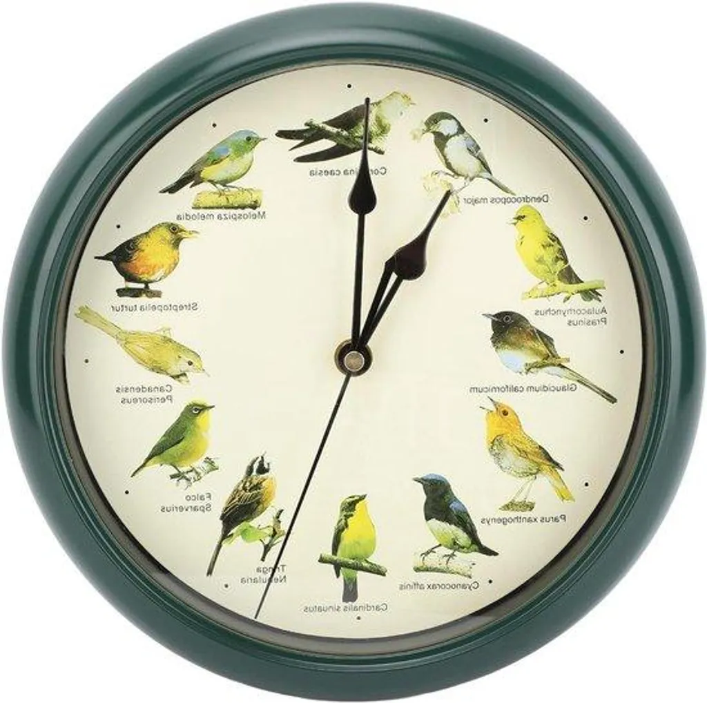 Grande horloge murale nichoir vert - Horloge analogique silencieuse 30cm