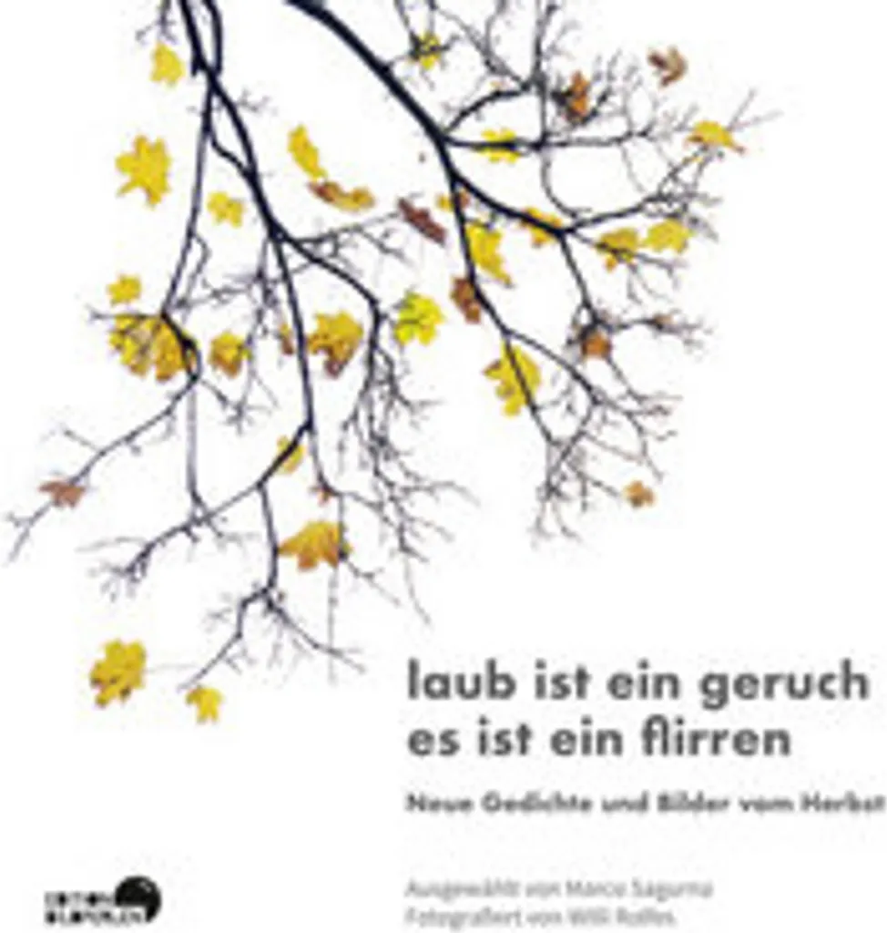 Diffuseur de Parfum Laub ist ein Geruch pour Salon et Bureau Ambiance Zen
