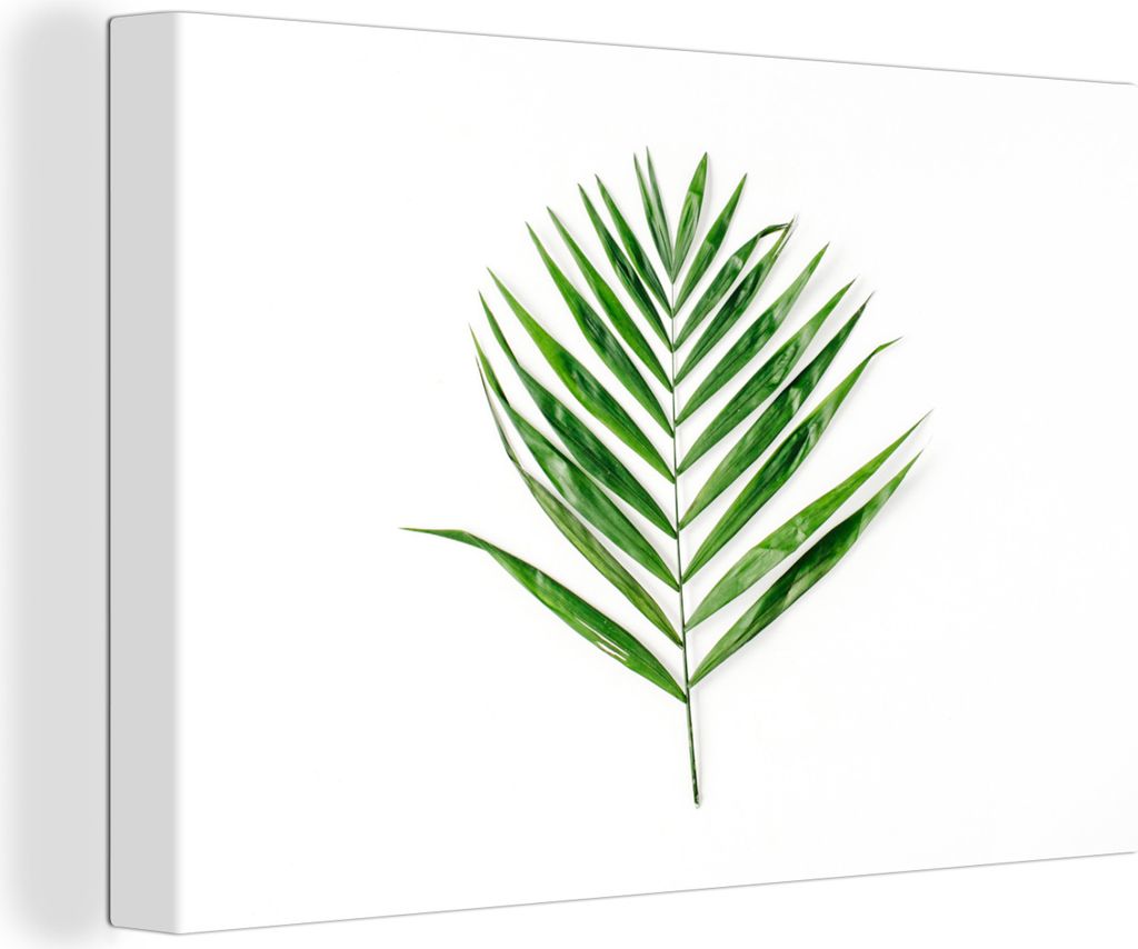 OneMillionCanvasses - Leinwandbilder - 150x100 cm, Grün - Blatt - Tropisch, Wandbilder Kunstdruck Wanddekoration