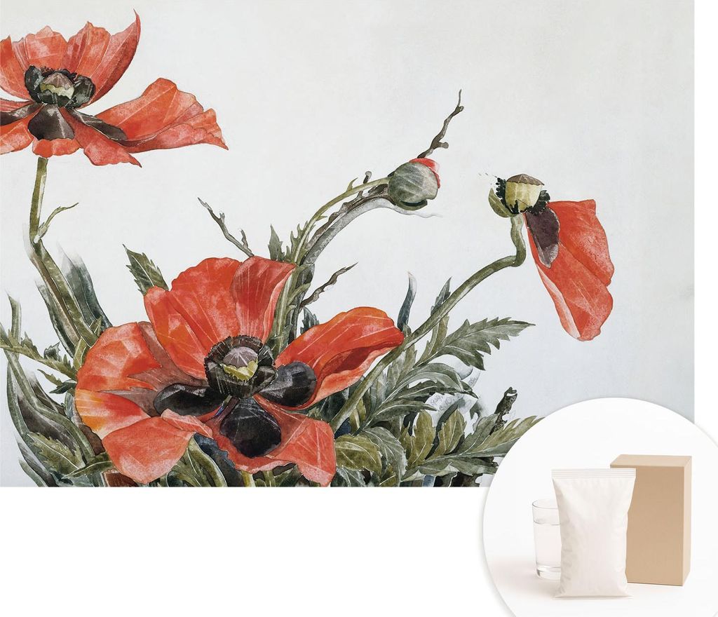 Fototapete - Wandbilder für Wohnzimmer - 312x219 cm - Dekorative Wandfolie - Modernes Design für Wanddekoration - Tapeten für Innenräume - Rote...