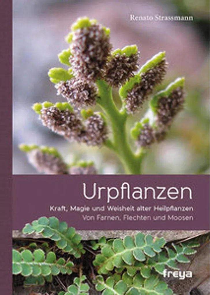 Fertilisant Naturel Urpflanzen pour Plantes Vertes et Fleurs de Balcon