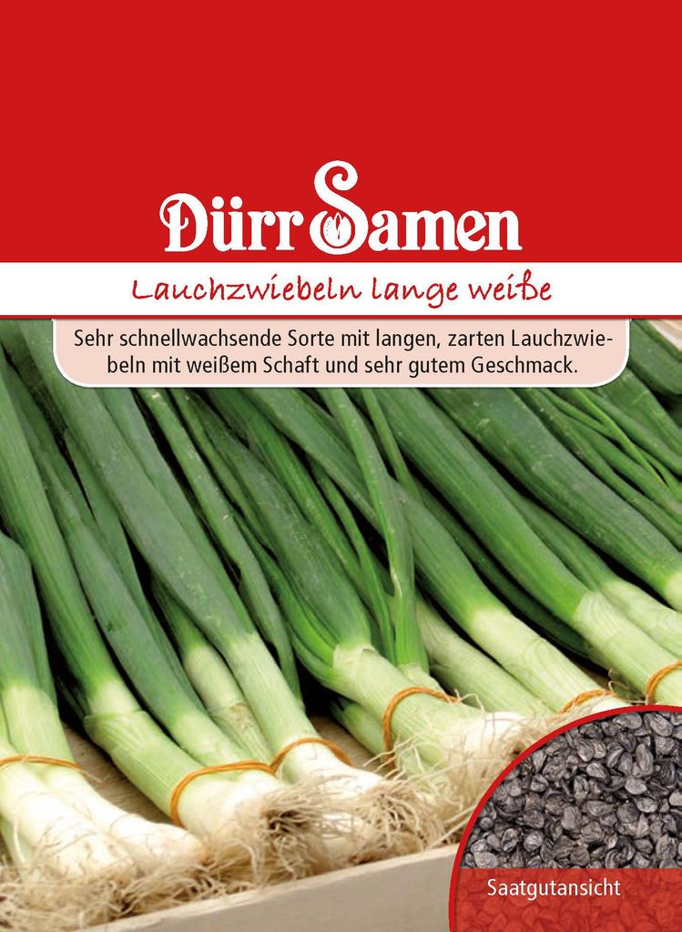 Lauchzwiebeln Lange Weiße | Lauchzwiebelnsamen von Dürr Produktbild 