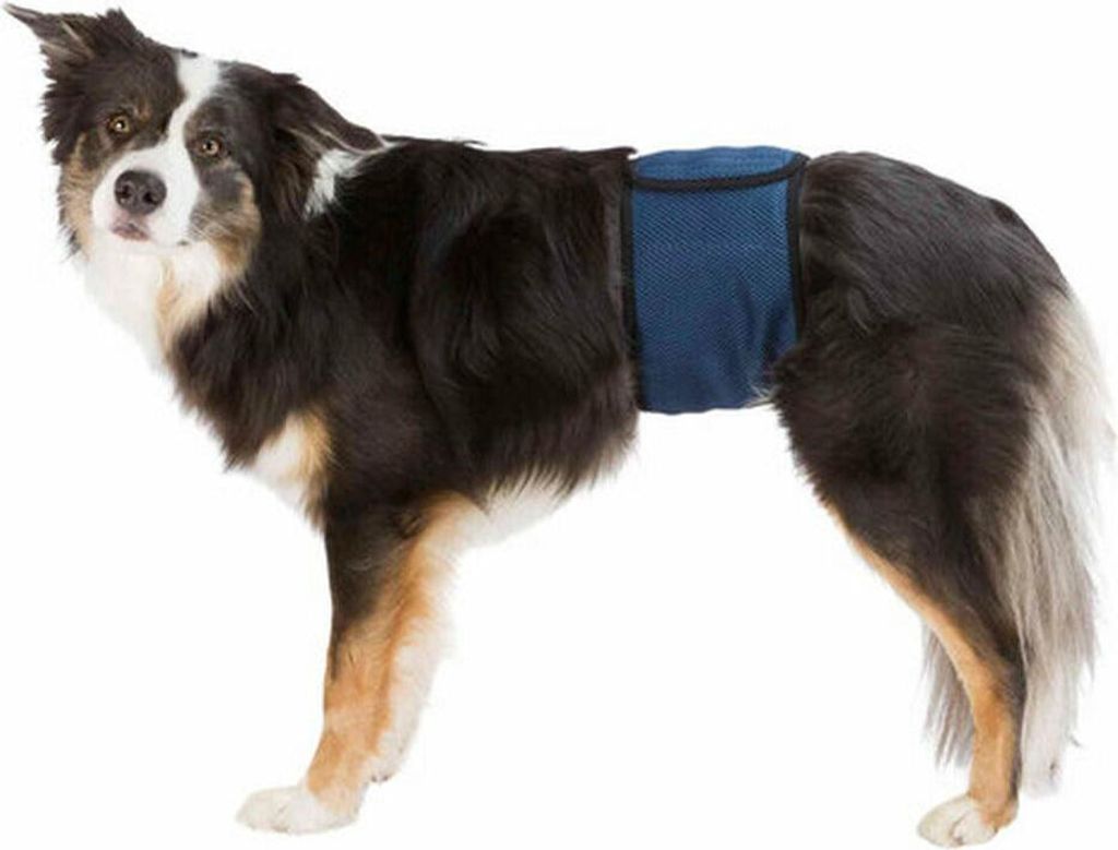 TRIXIE Windeln für Rüden, Mesh-Material, S–M: 37–45 cm, Produktbild 