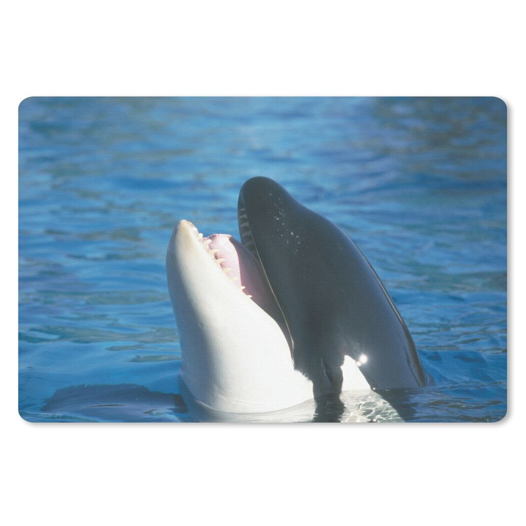 MuchoWow Mauspad Mousepad Orca nahe der Wasseroberfläche 27x18 cm - Mousepads - Maus Mat - Pad - Mausunterlage - Büroartikel - Desk Matten