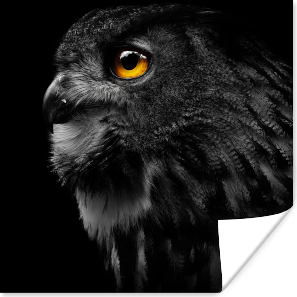 MuchoWow Poster Eule - Vogel - Schwarz - Porträt 100x100 cm - Babyzimmer