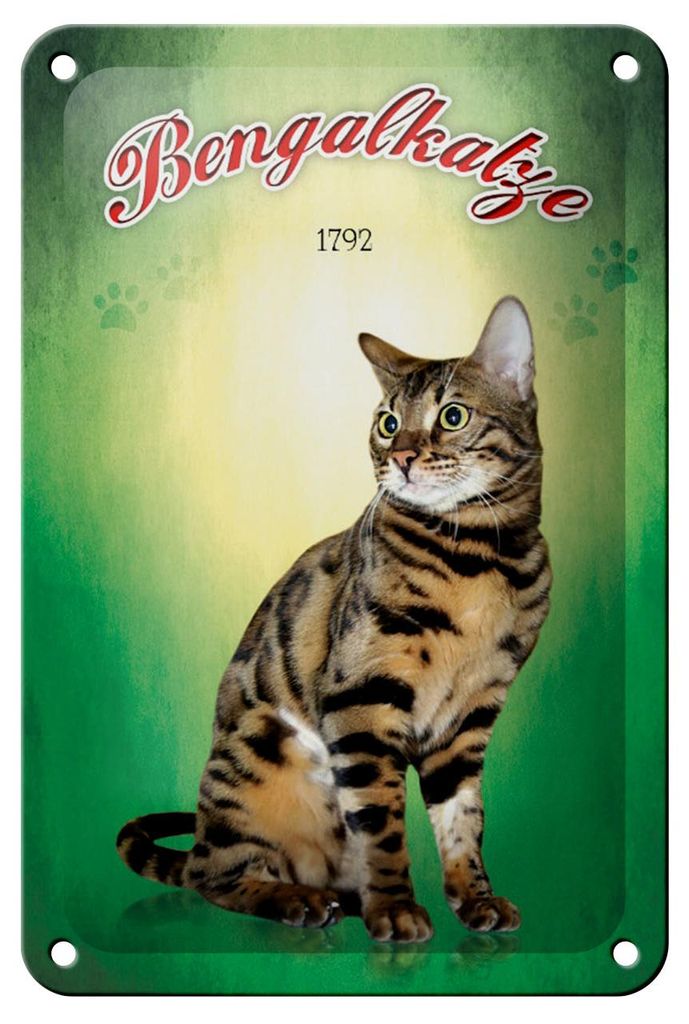 Blechschild Katze 12x18cm Bengalkatze 1792 Wanddeko Produktbild 