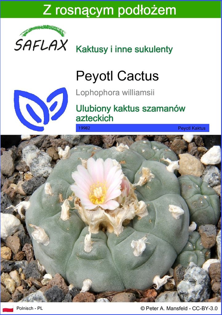 SAFLAX - Peyotl Cactus - 20 Nasiona - Z podłożem uprawowym Zdjęcie produktu 