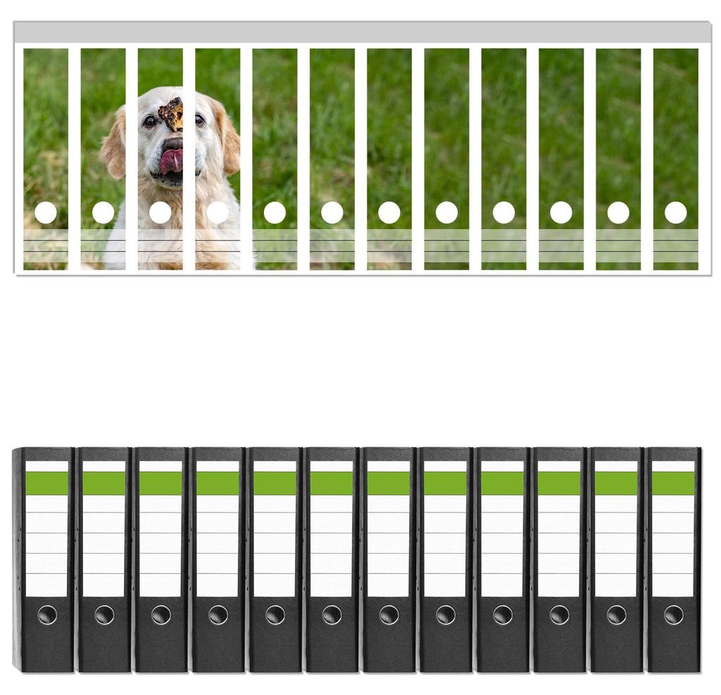 Wallario 12 Stück breite Ordner inkl. Klebeetiketten mit Motive Hund trifft Leckerli - Set mit Rückenschildern / Ordnerrücken Stickern