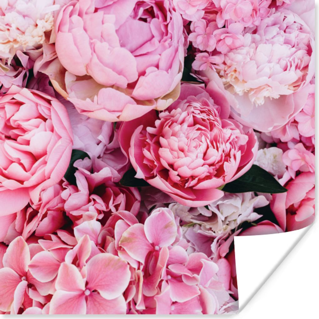 MuchoWow Poster Blumen - Rosa - Rosen 50x50 cm - Wohnzimmerdekoration