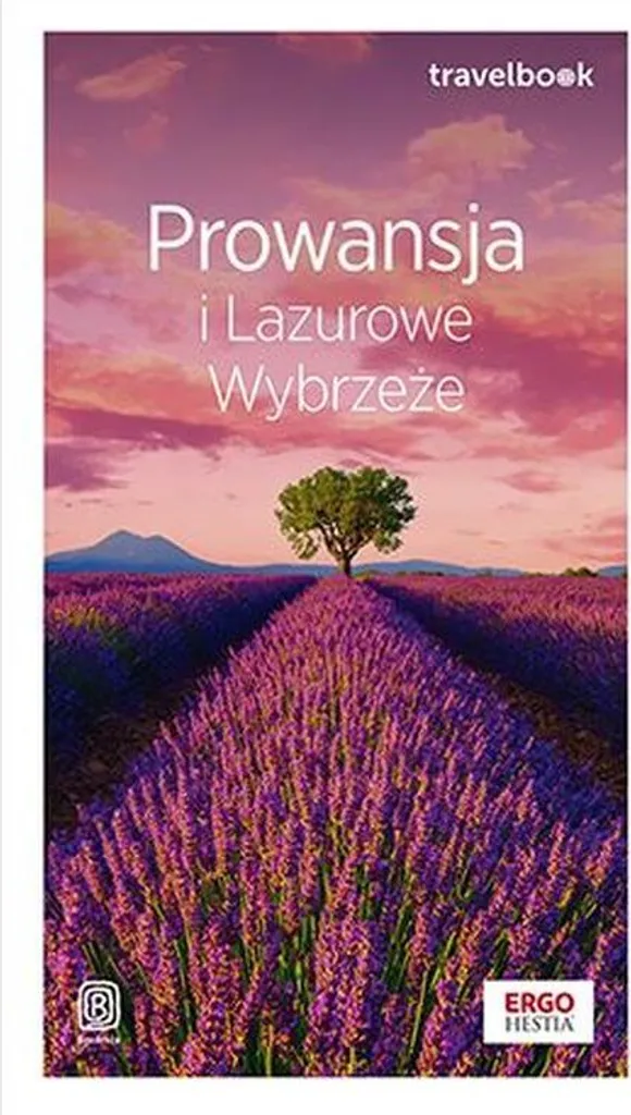 Voyage en Provence et Côte d'Azur : Guide Travelbook Nouvelle Edition - 2