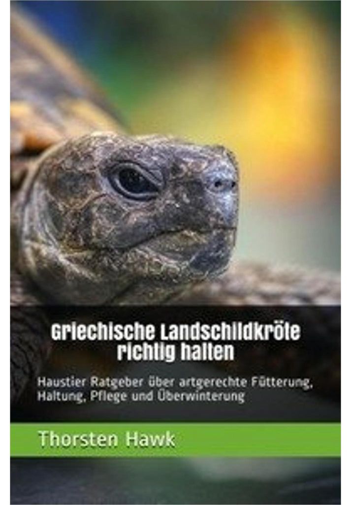 Griechische Landschildkröte richtig halten Produktbild 
