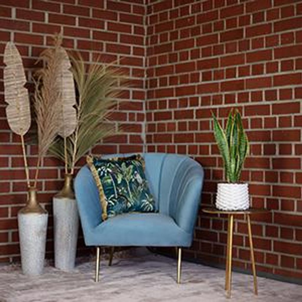 2er-Set Bogenhanf - Sansevieria trifasciata 'Laurentii' - Höhe ca. 65 cm, Topf-? 17 cm