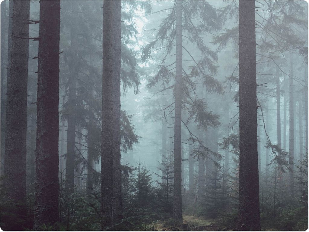 Nebliger Nadelwald – Bodenschutzmatte – Stuhlunterlage 120x90 cm – Rutschfest – Hartbodenmatte
