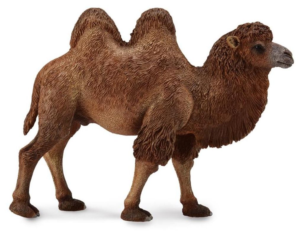 Collecta Trampeltier Camel Figur Bactrian Tierfigur Produktbild 