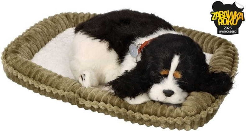Perfect Petzzz 96422 Kokršpaněl Obrázek produktu 