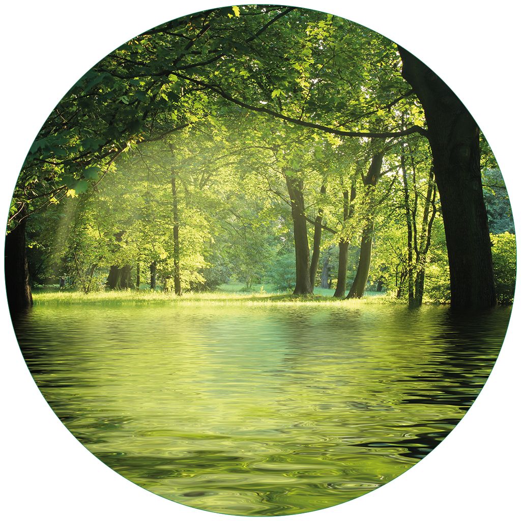 Wallario Premium Glasbild, freischwebende Optik, kräftige Farben, rund 50cm Durchmesser, Motiv Idyllischer See im Wald bei Sonnenschein