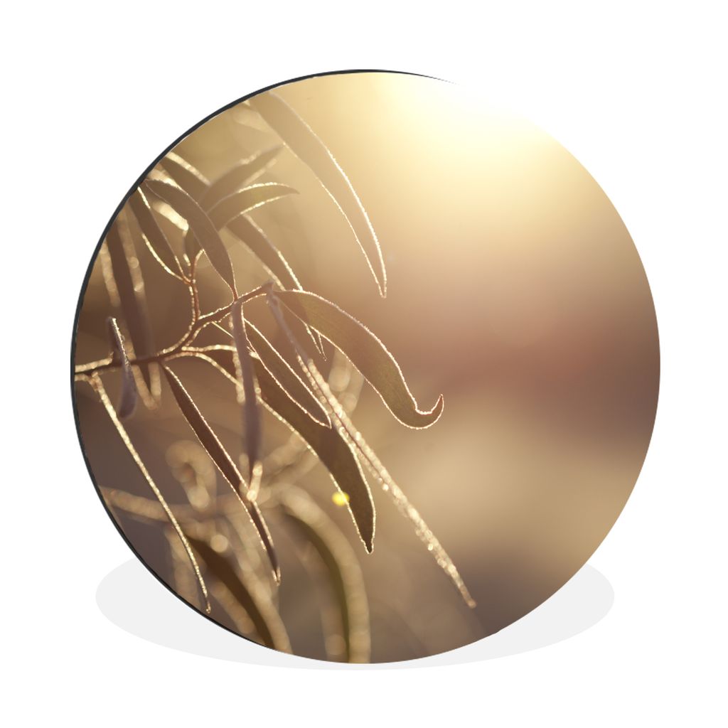 MuchoWow Aluminium Wandkreis Eukalyptusblätter in der Morgendämmerung Ø 90 cm Wanddeko Modern Wohnzimmer - Mauerkreis - Wandbilder - Runde Bil...