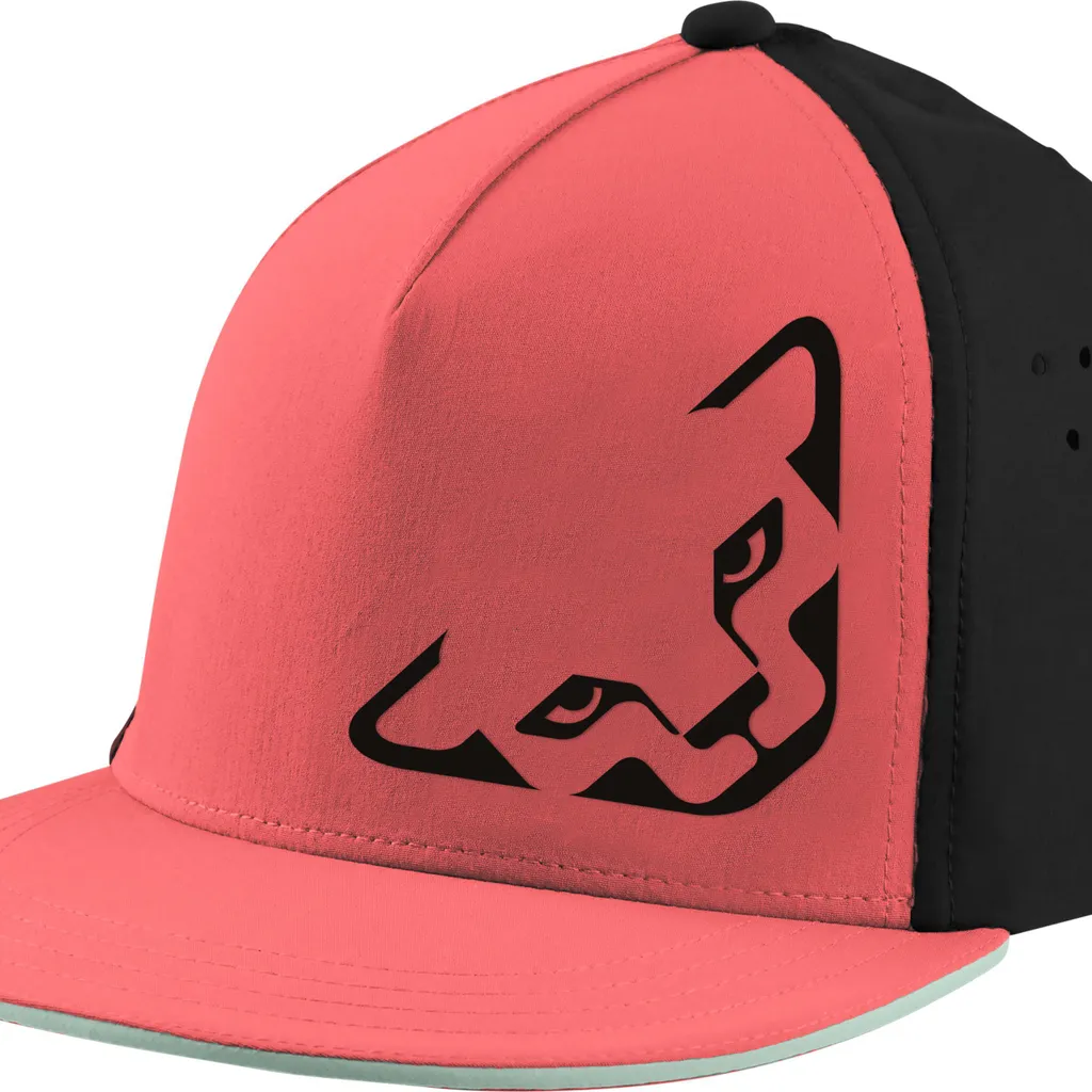Casquette de sport respirante Dynafit Tech Trucker pour Homme et Femme