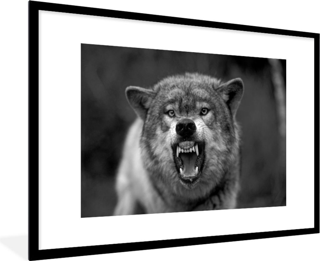 MuchoWow® MuchoWow® Gerahmtes Poster Böser Wolf - schwarz Produktbild 