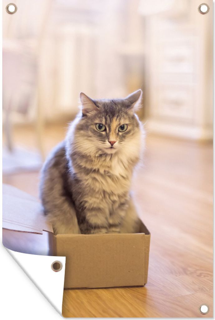 MuchoWow 80x120 cm Outdoor-Poster Gartendeko Sichtschutz Garten Poster für den Garten Niedliche Katze in kleiner Box