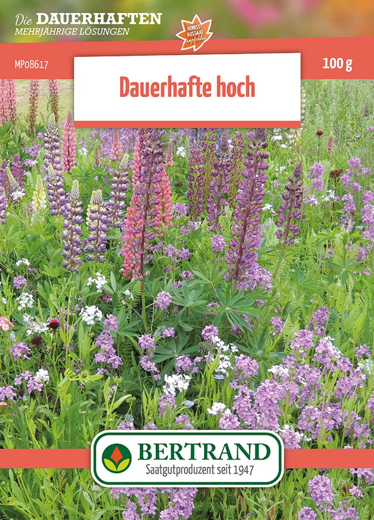 Blumenwiese Mehrjährige hohe Stauden (100 g) | Blumensamen von Bertrand