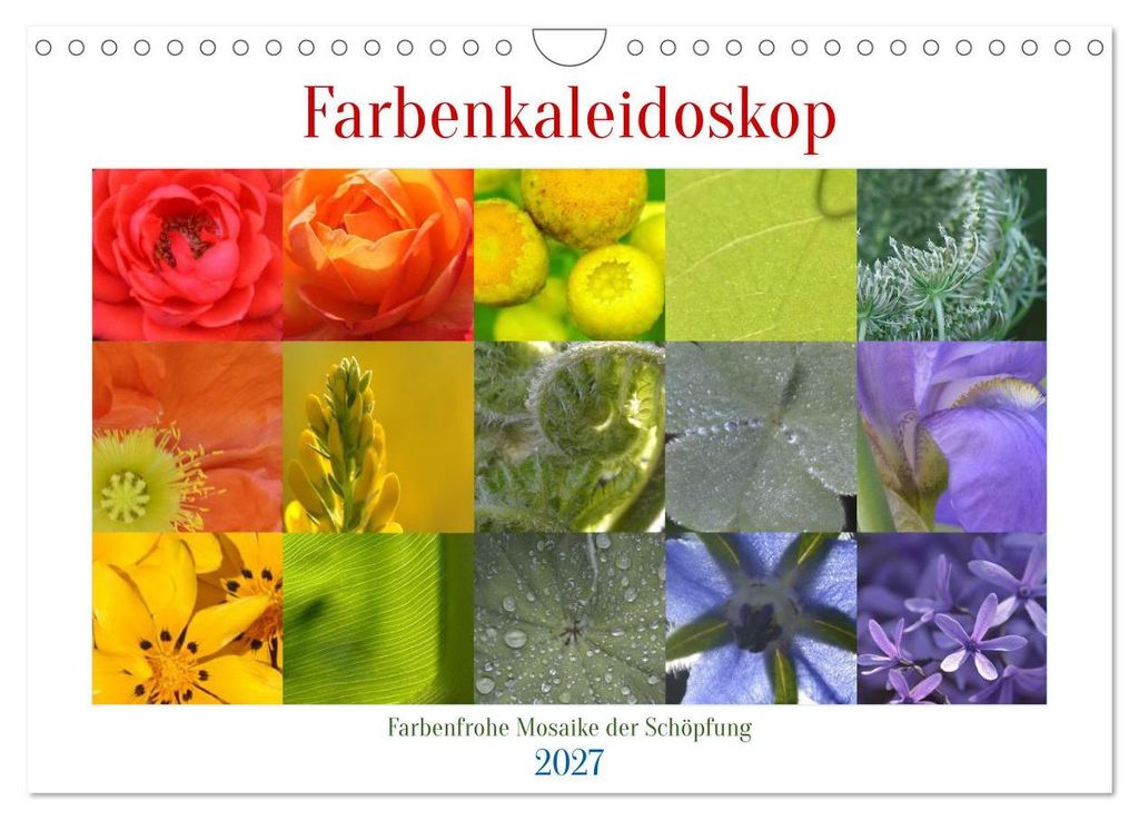 Farbenkaleidoskop (Wandkalender 2027 DIN A4 quer), CALVENDO Monatskalender