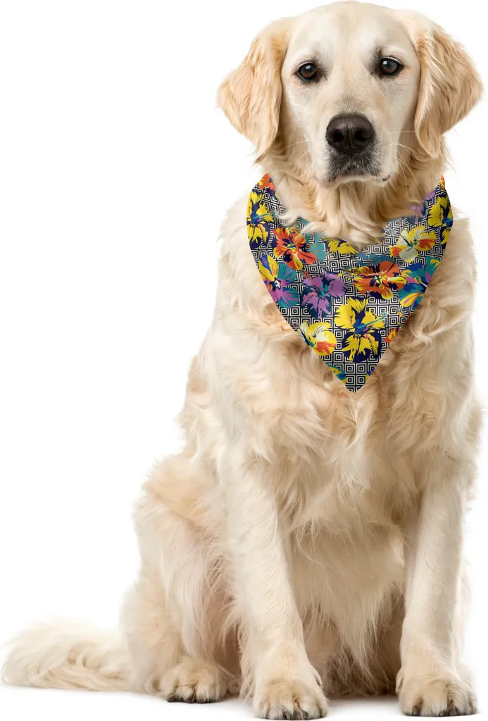 ABAKUHAUS Bandana tropicale per animali domestici, Hibiscus Aloha geometrico, 40x40 cm, multicolore